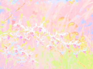 Dendrobium (sonia) Orchid flowers blossom on branches with convert abstract colored for illustration texture background.