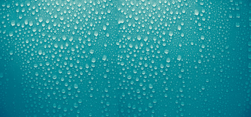 Tiny water droplets shining light Natural arrangement makes it look beautiful on a dark green background.