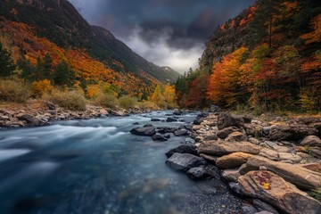 Atemberaubende Aufnahme eines Flusses im Wald mit bunten Bäumen unter dem bewölkten Himmel im Herbst © Roger Orpinell/Wirestock