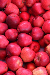 Apples fruits red ripe many piled at random.