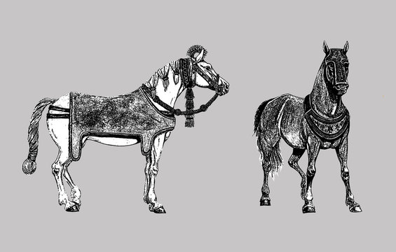 Military horses of ancient Persians and Assyrians. Armored horses silhouette set. Historical illustration.