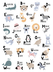 Obraz premium Animal alphabet for kids education. Childish vector poster for home decor.