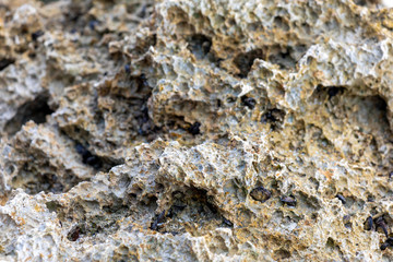 Close up of Volcanic Rock