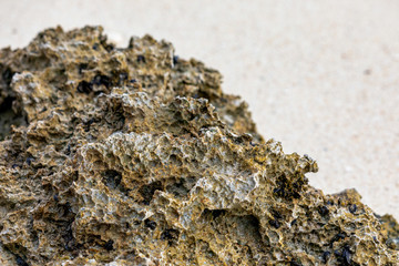 Close up of Volcanic Rock