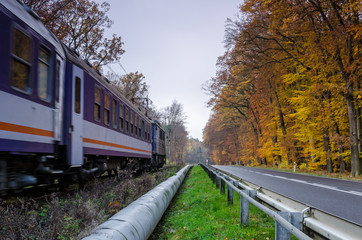 Obraz premium TWO WAYS - Railway track and asphalt road among the autumn beech forest
