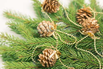 Green twigs ate, bumps and garland. A backdrop to congratulate you on Christmas and New Year 's Eve. White background