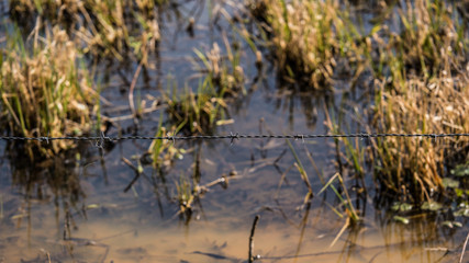 Barbed wire - Focus matter