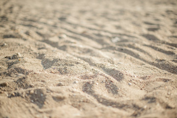 Sandstrand