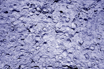 Shell rock stone close-up in blue tone.