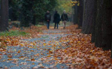 Family walking in autumn park