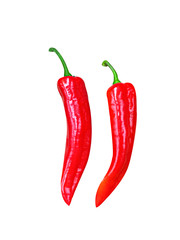 Chili pepper isolated on a white background. Chili hot pepper