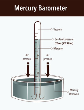 Mercury barometer vector illustration. Labeled atmospheric pressure tool.  Earth surface weather measurement instrument with glass tube and vacuum.  Stock Vector | Adobe Stock