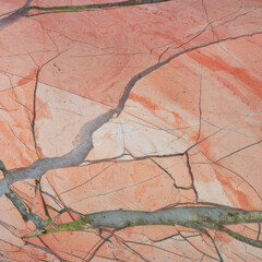 pink marble natural surface patterns background