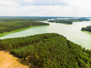 Jezioro wdzydze las kaszuby