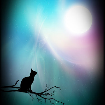 Black cat and moon cartoon character in the real world silhouette art photo manipulation