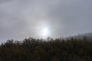 sun flash over the fog covering the forest