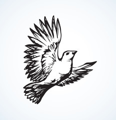 Vector drawing. Small titmouse