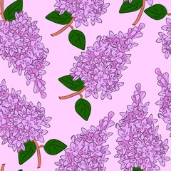  vector illustration lilac pattern on a white background