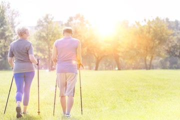 Rear view of healthy senior couple with hiking poles walking on field