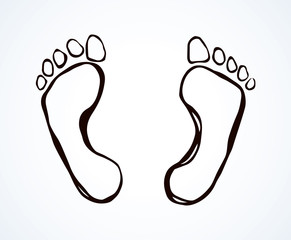 Foot. Vector drawing