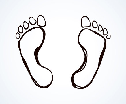 Foot. Vector drawing