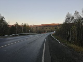 Fototapeta premium road in forest