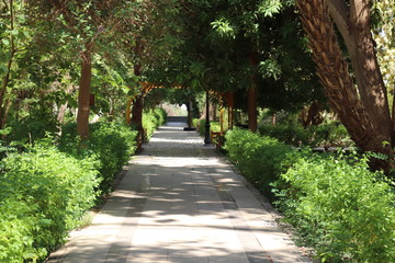 path in the park