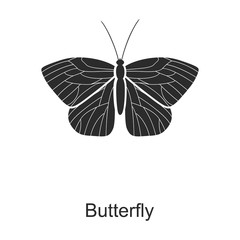 Butterfly vector icon.Black vector icon isolated on white background butterfly.