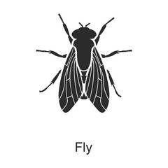 Insect fly vector icon.Black vector icon isolated on white background insect fly . - obrazy, fototapety, plakaty