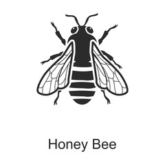 Bee honey vector icon.Black vector icon isolated on white background bee honey .