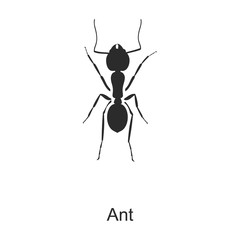 Insect ant vector icon.Black vector icon isolated on white background insect ant.