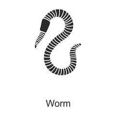 Insect worm vector icon.Black vector icon isolated on white background insect worm.
