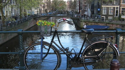 rower w kwiatach