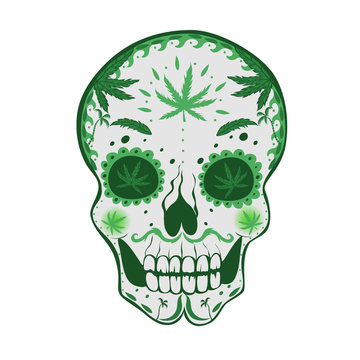 Sugar skull with cannabis Isolated on a white background. Vector graphics