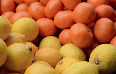 Lemon and orange for sale. Various kind of organic fruit in the market.