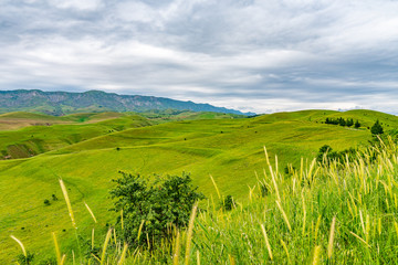 Baljuvon Landscape View 20