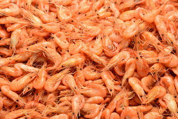 Tasty fresh shrimps as background.