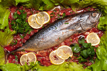 Tuna steak poached in tomato sauce.