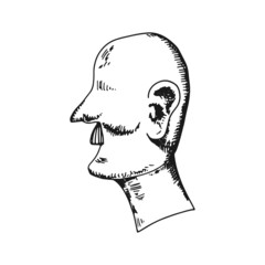 head of a man with a mustache. man sketch