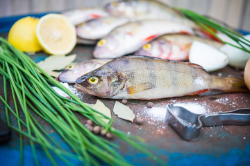 Raw fish. Fish prepared for cooking. Perch and spices.