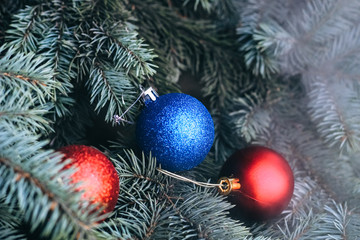 Fototapeta na wymiar Christmas toy on the branches of a New Year tree. Christmas tree decorated with a festive ball