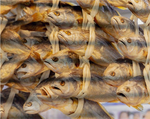 Dried fish suspended in ropes at the fish market in Busan, Seoul