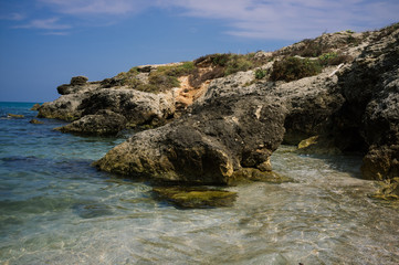 rock frog shape in amediterranean coast, Gargano Italy