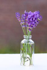 Beautiful lavender flowers.