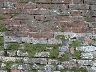 old gray brown brick wall with moss