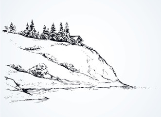 Firs on hill above river. Vector drawing