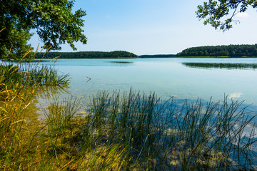 Jezioro lazurowe las turkusowe drzewa plaża wdzydze