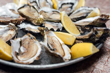 Fresh opened oysters, ice and lemon on a nice round metal plate, stone background