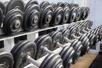 Set of heavy dumbbells on a horizontal support.