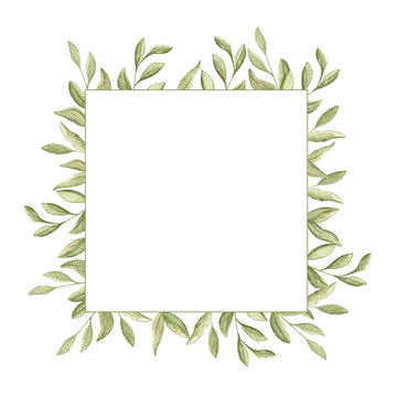 watercolor illustration square frame of green swamp branches with leaves on a white background. spring summer mood. space for text. cards, design, for wedding, greetings, wallpaper background.